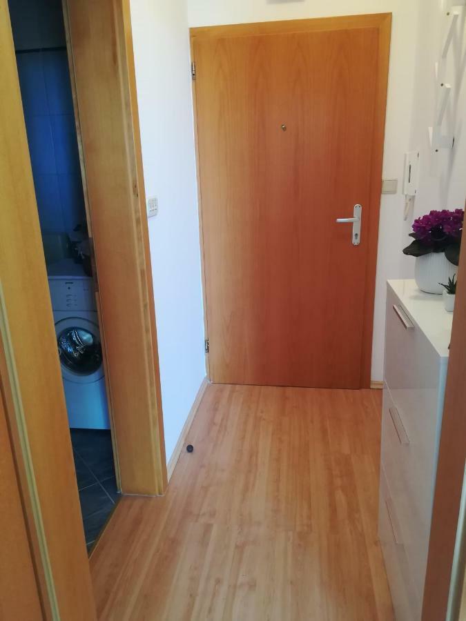 Cozy Apartmant With A Sea View In Orasac Ngoại thất bức ảnh